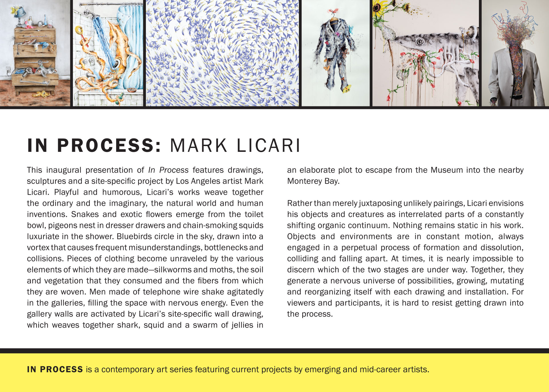 Mark Licari text panel